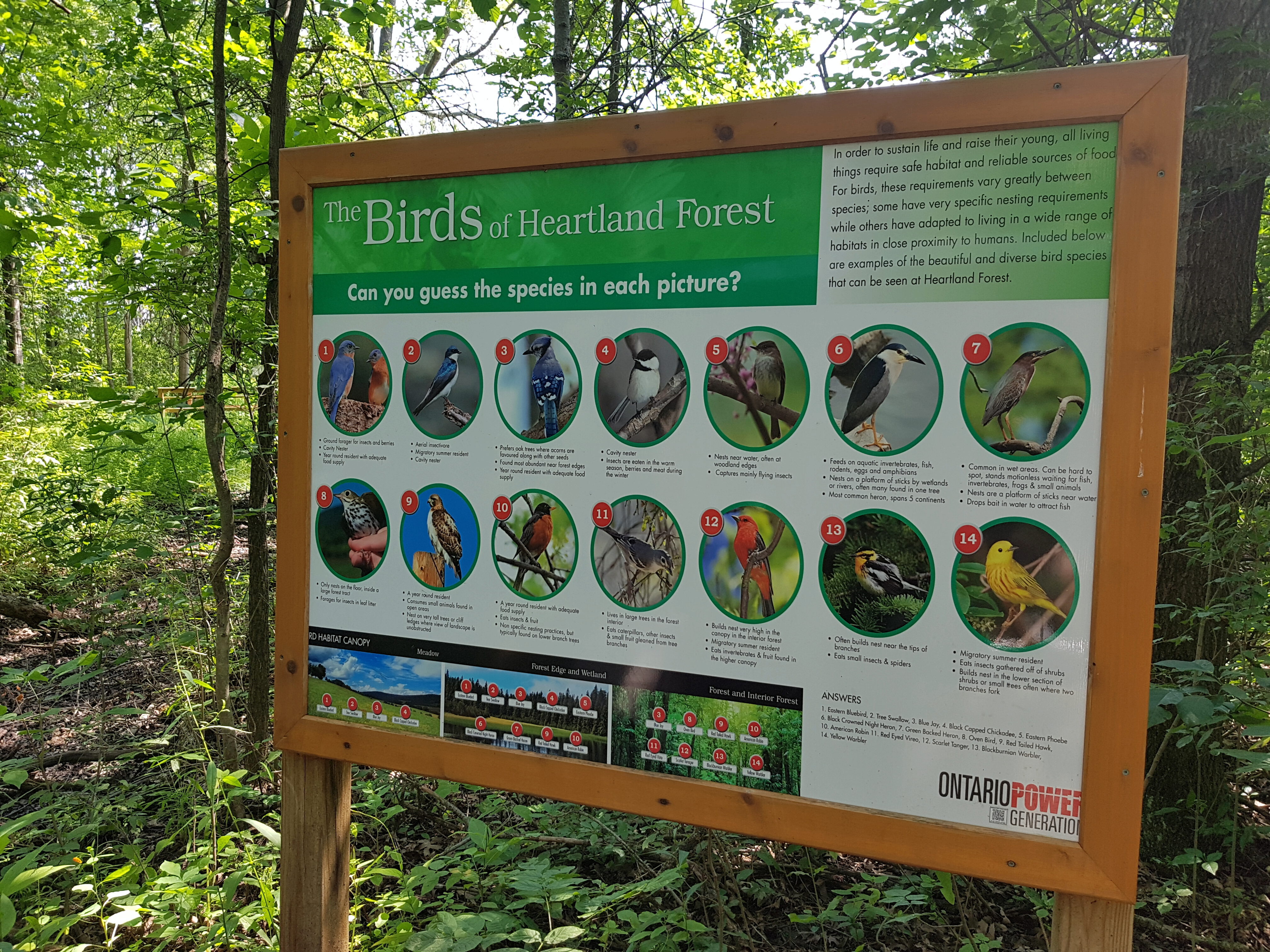 The birds of Heartland Forest information board.