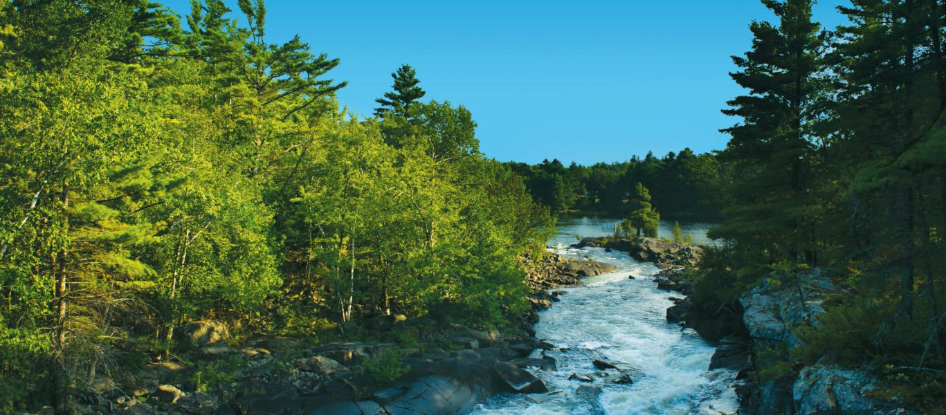 Water rushing down a forest-lined riverbed.