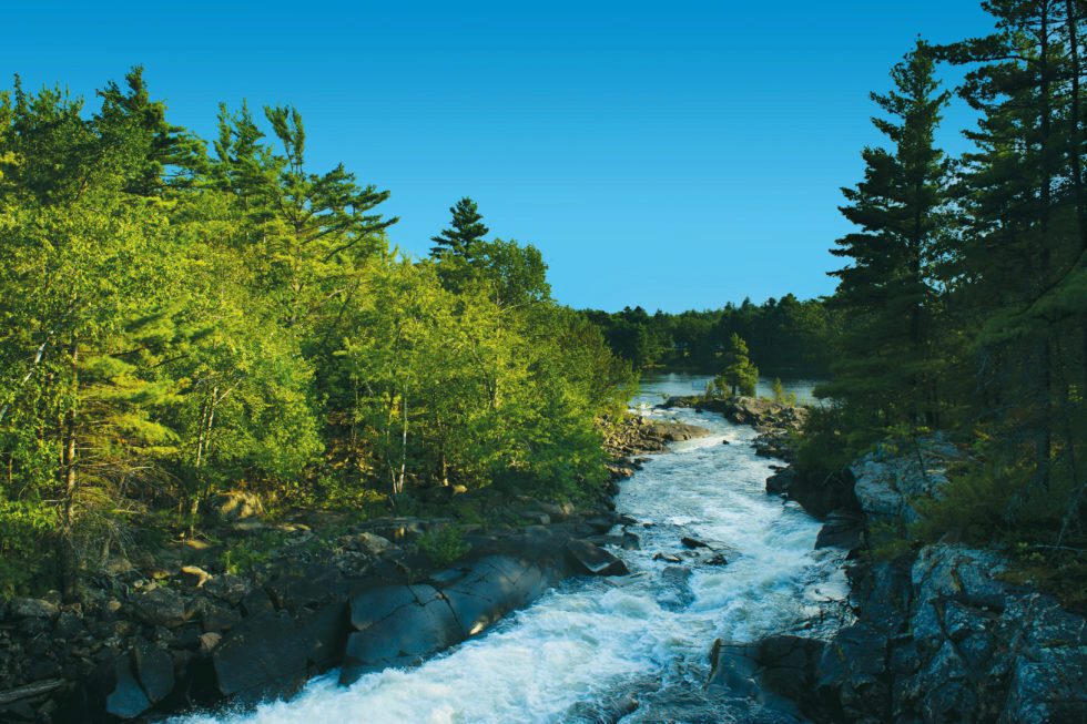 Water rushing down a forest-lined riverbed.