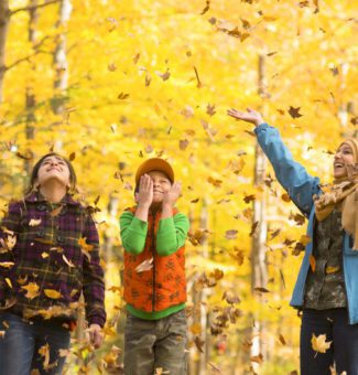 Three smiling young people enjoy the fall foliage, throwing golden yellow leaves into the air above their heads.