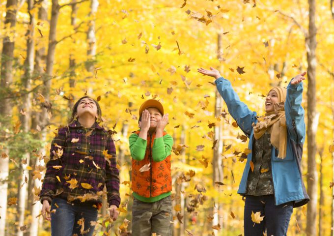 Three smiling young people enjoy the fall foliage, throwing golden yellow leaves into the air above their heads.