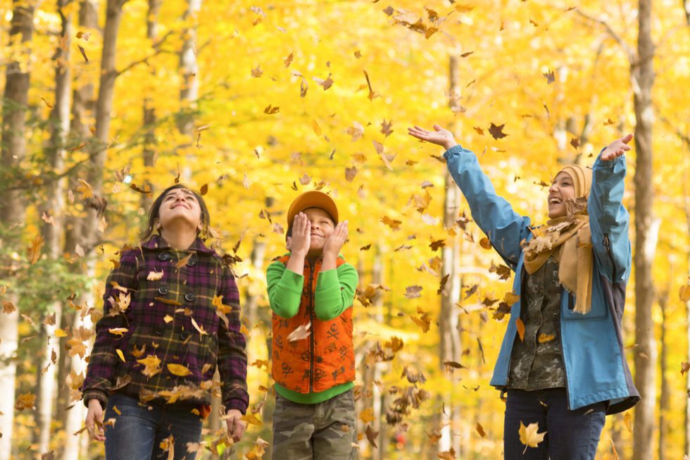 Three smiling young people enjoy the fall foliage, throwing golden yellow leaves into the air above their heads.