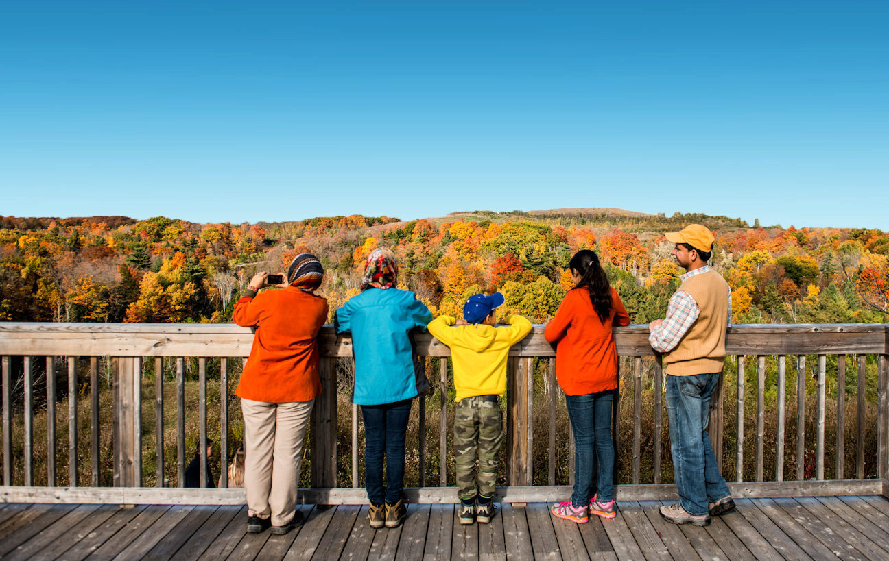 A family of five look out from elevated viewing platform at a tree-covered valley flush with fall colours.