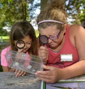 Since 1989, Scientists in School has reached more than 8 million students with hands-on learning experiences.