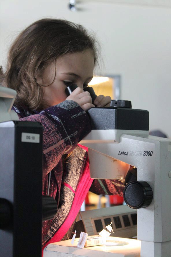 A girl examines a slide through a microsocope.