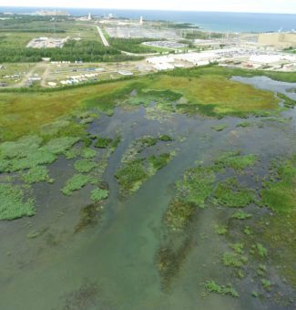 We deployed drones to help survey the growth of invasive Phragmites near the Western Waste Management Facility in Bruce County.