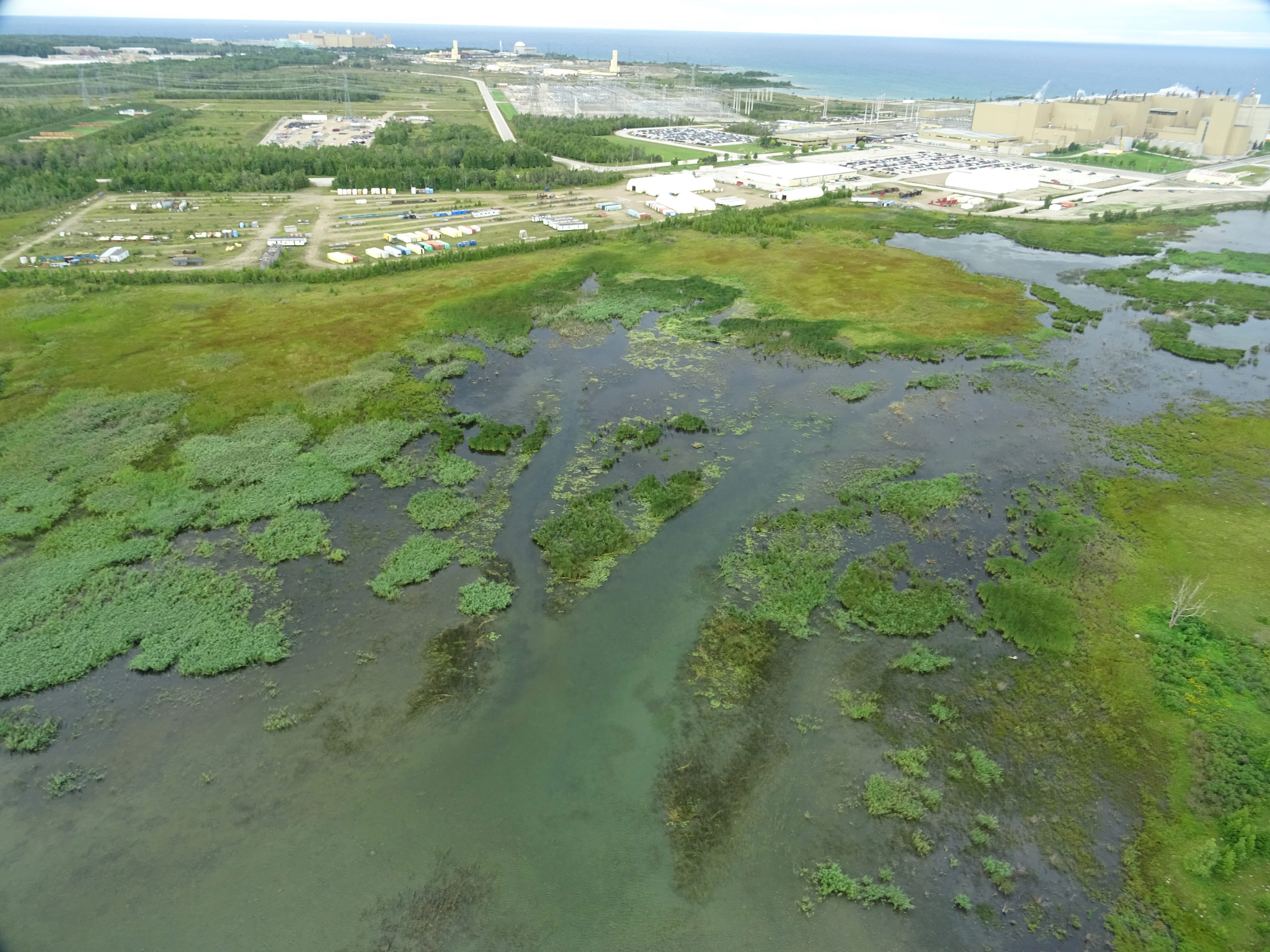 We deployed drones to help survey the growth of invasive Phragmites near the Western Waste Management Facility in Bruce County.
