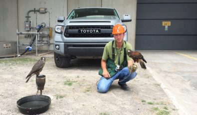 Woody Kassouf and his birds of prey