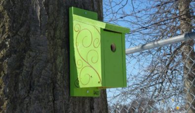 A new bird nesting box hangs from a tree in Niagara region.
