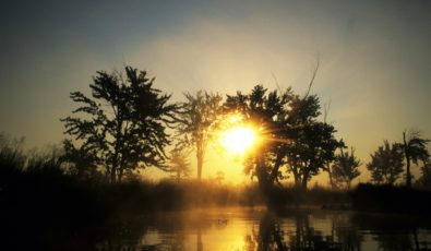 The 60-square-kilometre Minesing Wetlands has been called “the Everglades of the north."