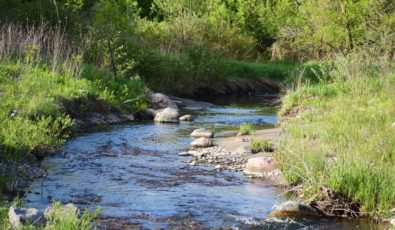 Wesleyville Creek is one of the highest quality cold water streams on the north shore of Lake Ontario.