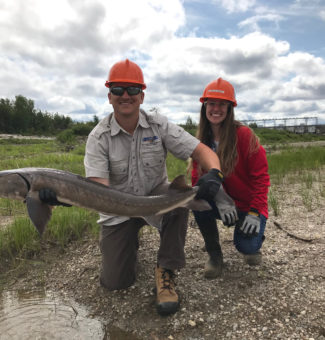 Dan Gibson, OPG Senior Environmental Specialist, and Melodie Tessier, OPG Site Environmental Advisor, with one of the lake sturgeons that was relocated on the Mattagami River.