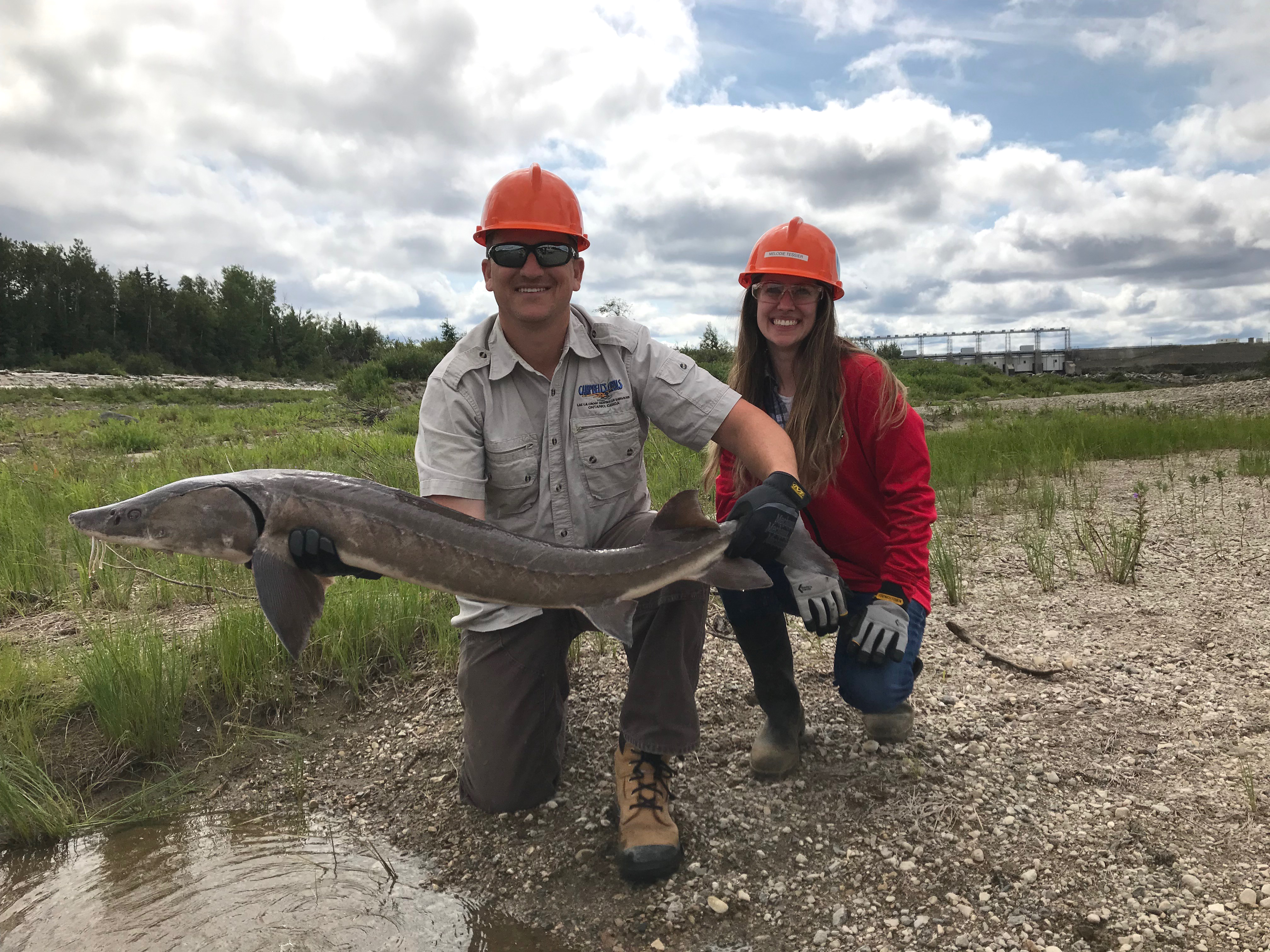 Dan Gibson, OPG Senior Environmental Specialist, and Melodie Tessier, OPG Site Environmental Advisor, with one of the lake sturgeons that was relocated on the Mattagami River.