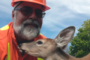 OPG employee Randy Heitman poses with one of the released fawns.