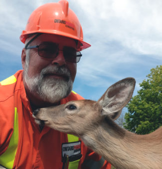 OPG employee Randy Heitman poses with one of the released fawns.