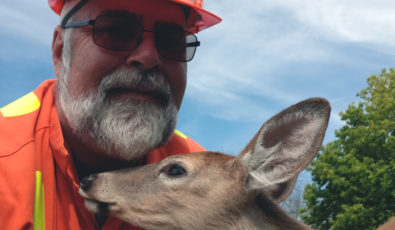 OPG employee Randy Heitman poses with one of the released fawns.