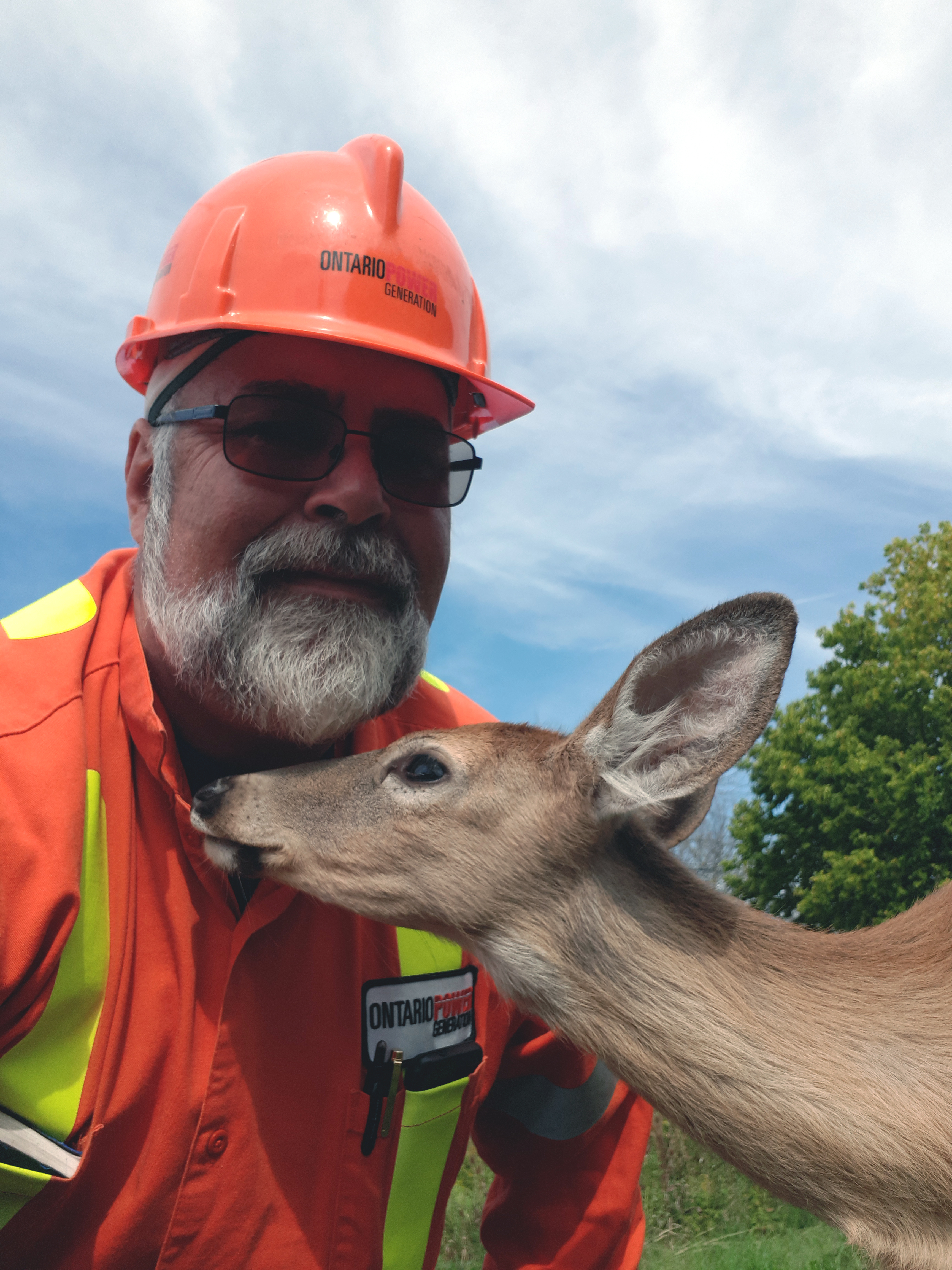 OPG employee Randy Heitman poses with one of the released fawns.