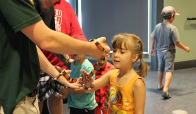 Children get a close up view of a milk snake at the Saunders Hydro Dam Visitor Centre.