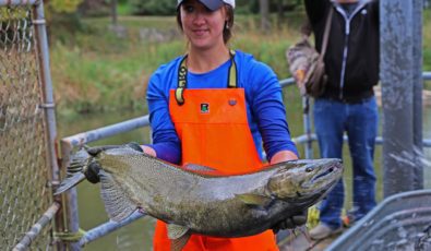The new camera will help provide valuable information on the health, numbers and migration patterns of Atlantic salmon, as well as information on other fish.