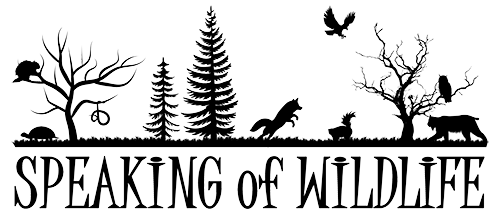 Speaking of Wildlife logo