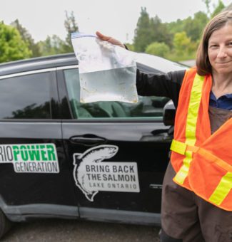 Employee with Ontario Federation of Anglers and Hunters holds up bag with juvenile Atlantic Salmon.