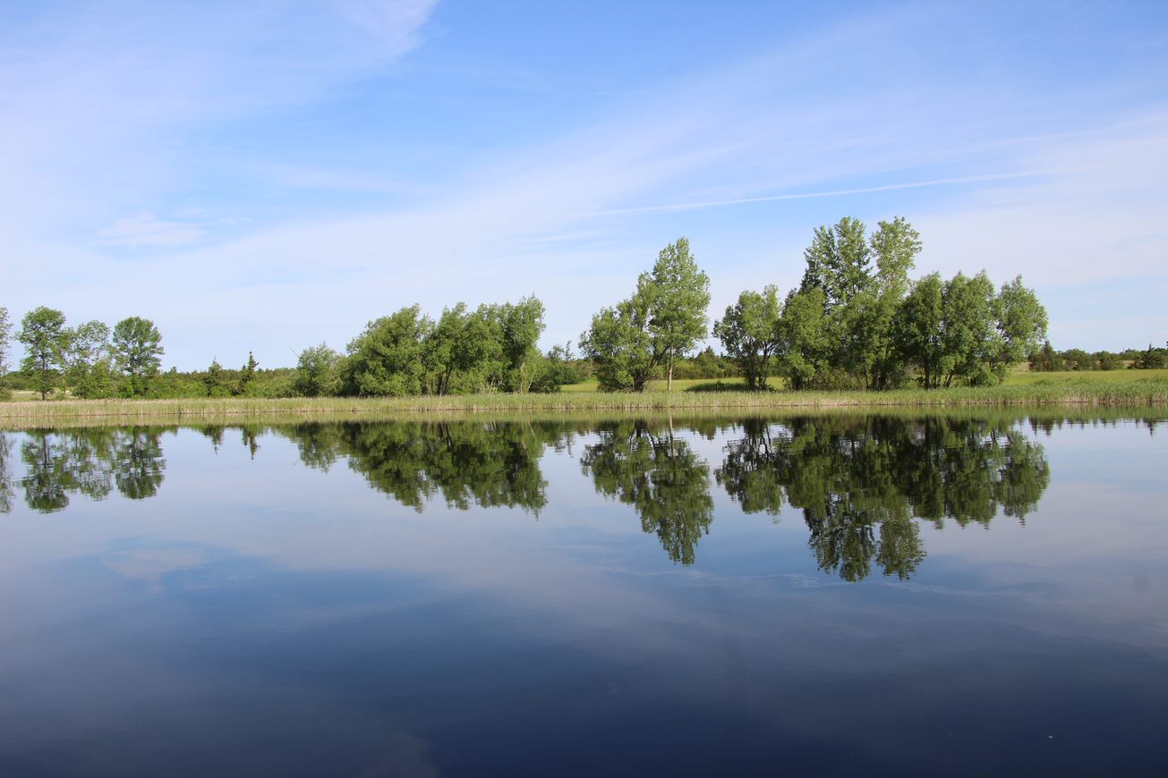 The 14.8-hectare Big Island Wetland was constructed in 2014 in Prince Edward County as a habitat bank for OPG's operations.