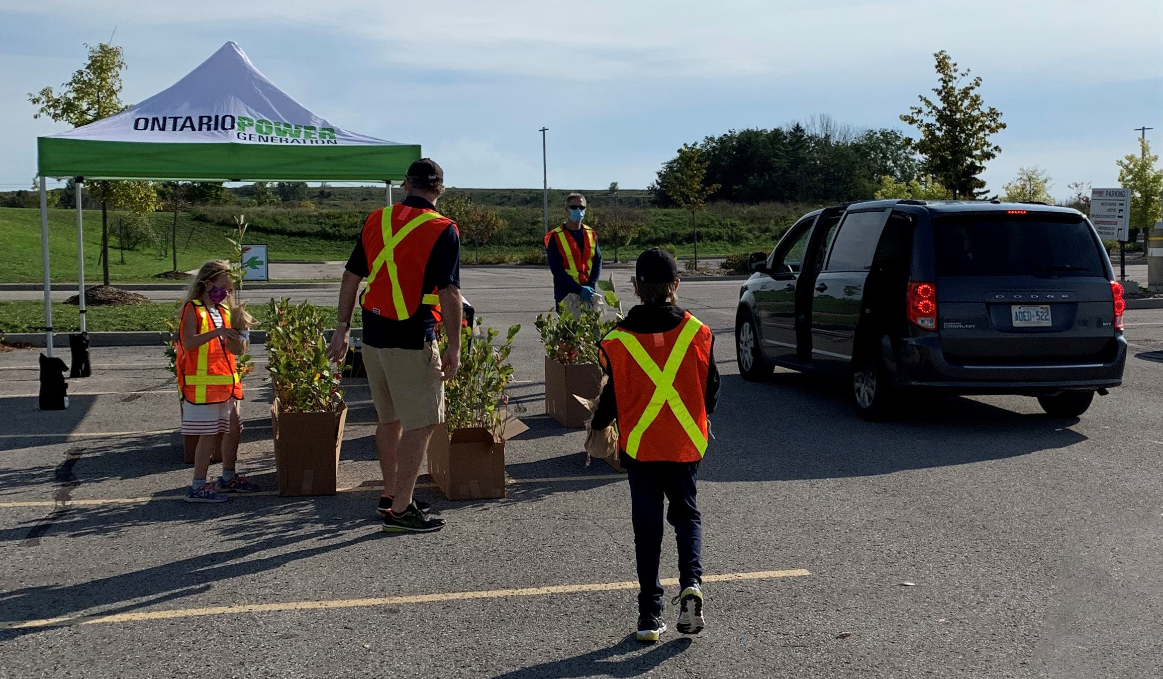 OPG hosted curbside pickups offering free Nannyberry shrubs.