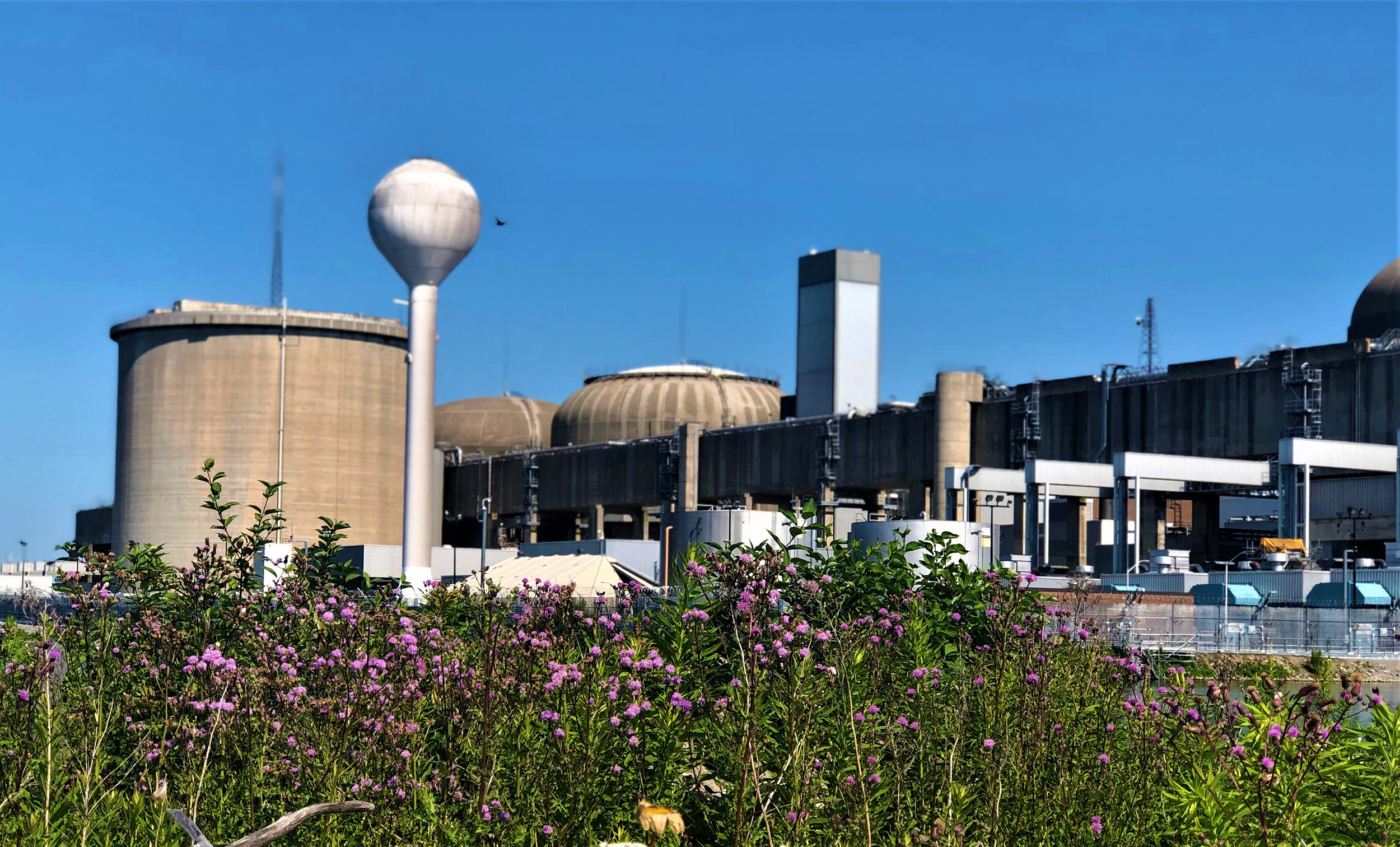 A view of the Pickering Nuclear Generating Station with greenery in the foreground