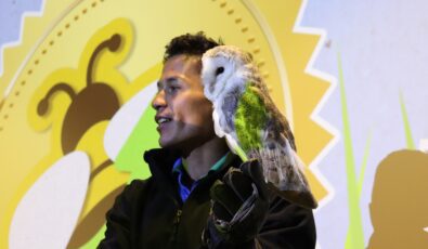 An Earth Rangers representative with Sonic the barn owl at OPG's Saunders Hydro Dam Visitor Centre.