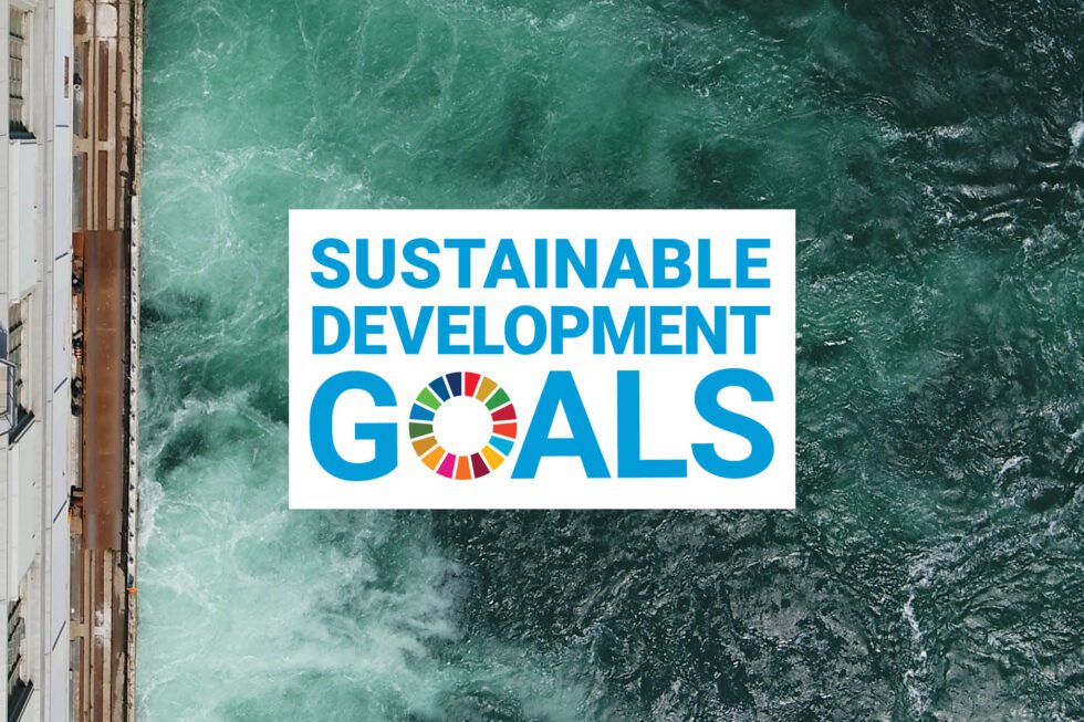 Sustainable Development Goals