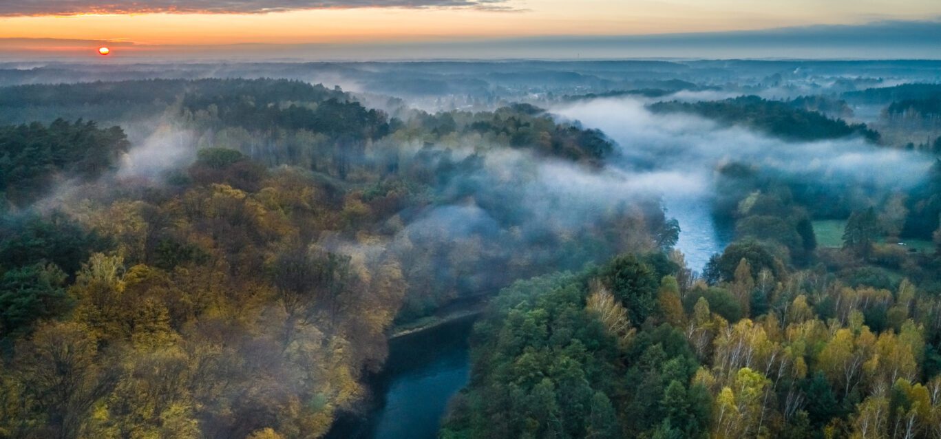 Fog over a river running through a forest