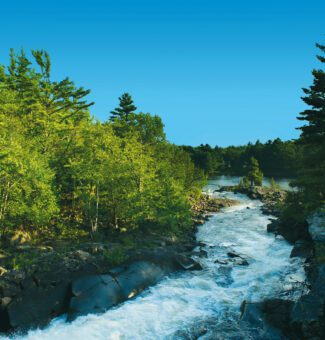 Water rushing down a forest-lined riverbed.