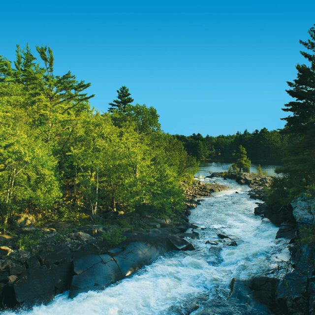 Water rushing down a forest-lined riverbed.