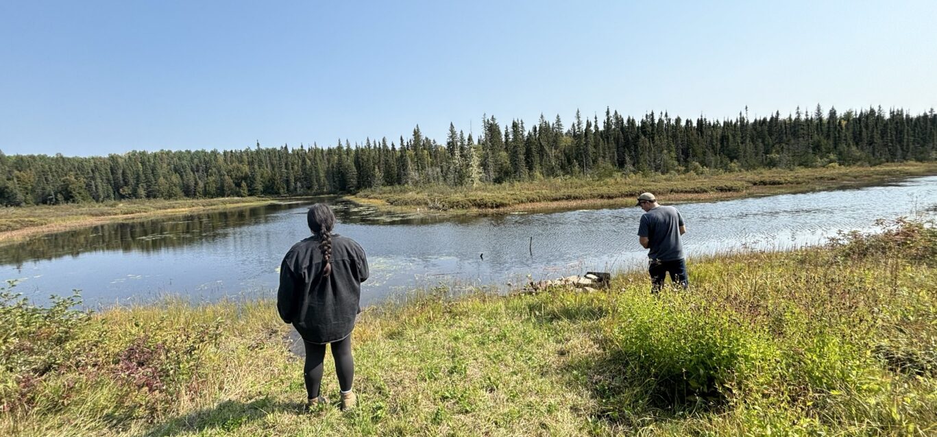 The plant identification and seed collection techniques will help restore the land to its natural state at OPG’s Little Long Dam Safety Project and Smoky Falls Dam Safety Project.