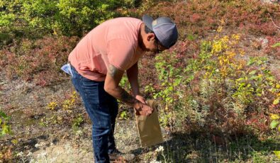Attendees at recent seed collection workshops were able to learn about various techniques and best practices for removing and storing seeds.