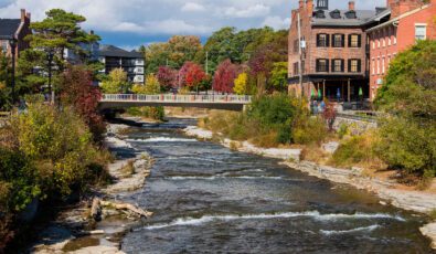 Salmon Run in Ganaraska River. Port Hope, ON. Canada