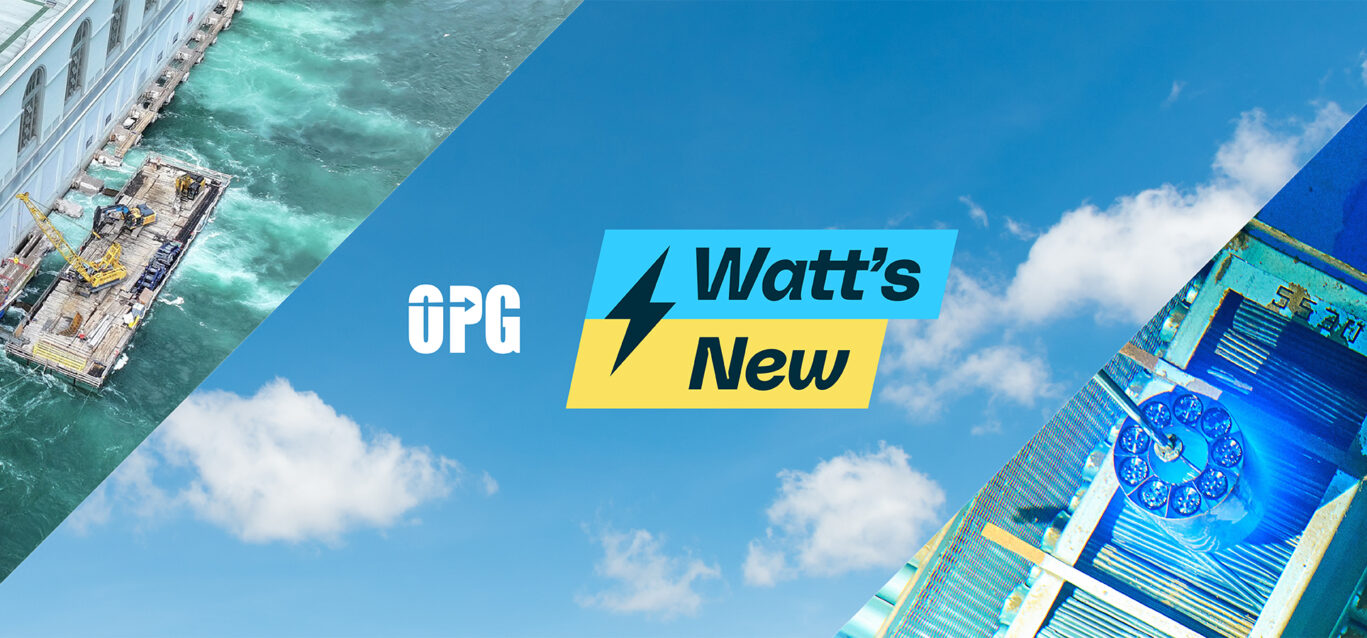 OPG Watt's New