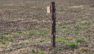 A bluebird box is pictured here at the DNNP site.
