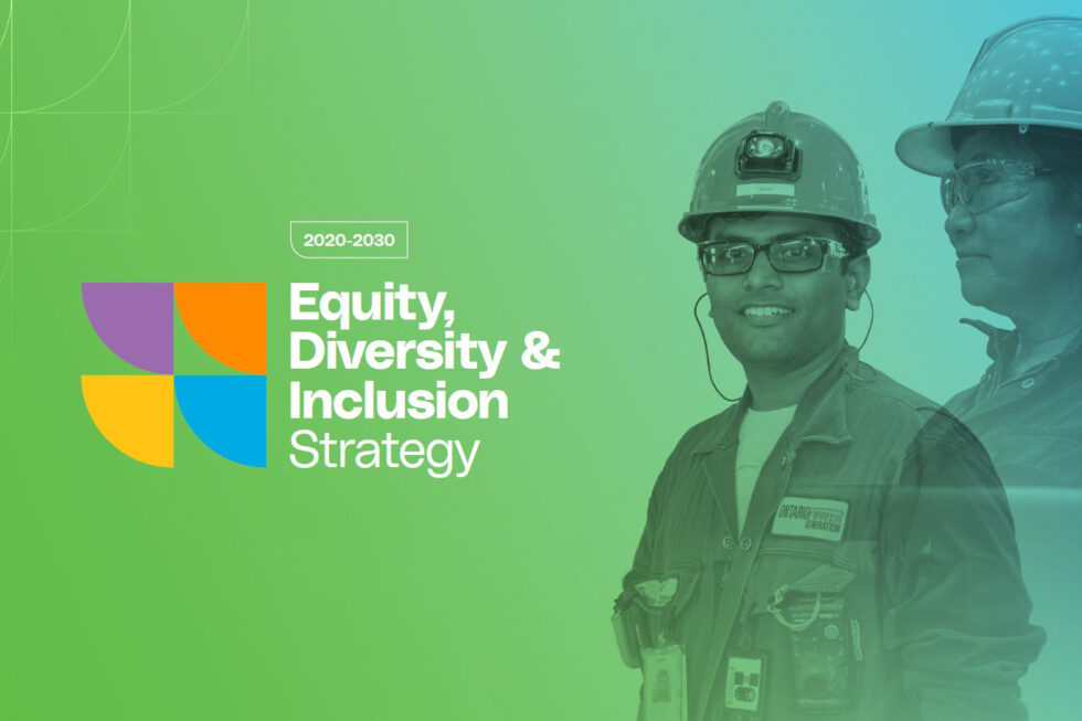 2020-2030 Equity, Diversity and Inclusion Strategy