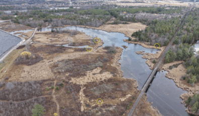 OPG has installed duck boxes to support wood duck populations throughout the 100-acre wetland near its Chats Falls Generating Station.