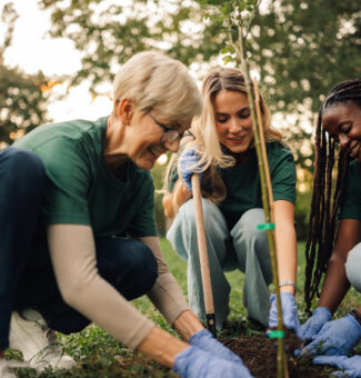 Four volunteers in green shirts plant a tree in the park, smiling and working together, showing anyone can help the environment. Sunlight shines through the trees, symbolizing hope and growth