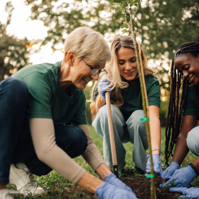 Four volunteers in green shirts plant a tree in the park, smiling and working together, showing anyone can help the environment. Sunlight shines through the trees, symbolizing hope and growth