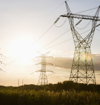 Electric power lines during summer