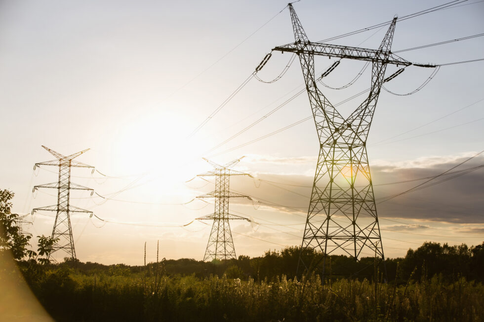Electric power lines during summer